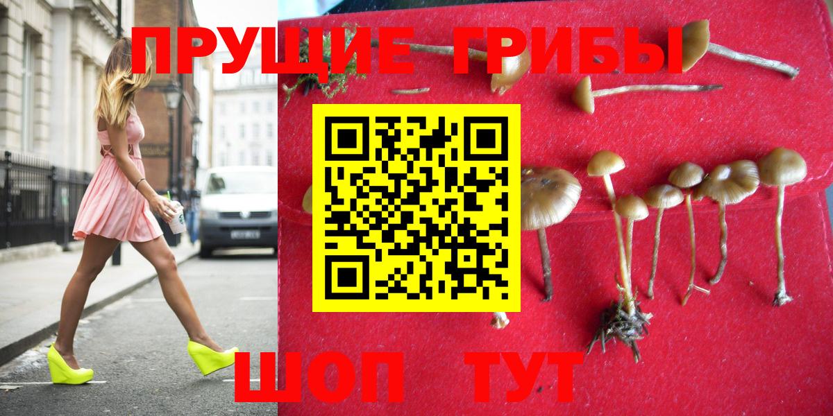 Алексин  Галлюциногенные грибы GOLDEN TEACHER  Галлюциногенные грибы прущие грибы  Вход с VPN 